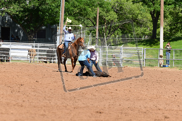RO1_2554