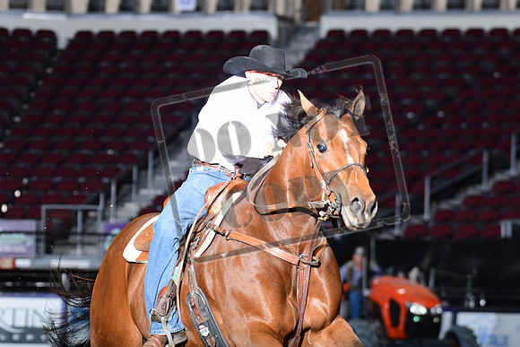 RO1_0065
