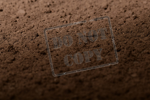 RO1_0823 - Copy