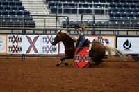 KK1_3748