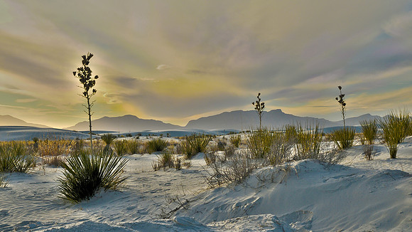 White Sands