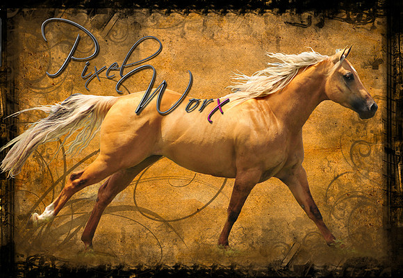 PixelWorx Banner