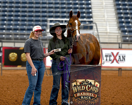 2D SHELBY WEST BQH SB BEAUTYS SLICK - AWARD