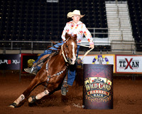 2D SHELBY WEST BQH SB BEAUTYS SLICK