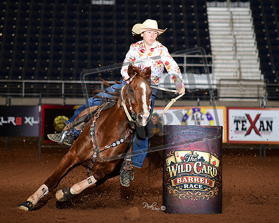 2D SHELBY WEST BQH SB BEAUTYS SLICK