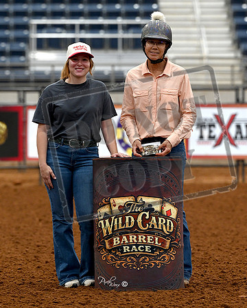 2D ANDREA CLINE STOP LION IM SHARP - AWARD