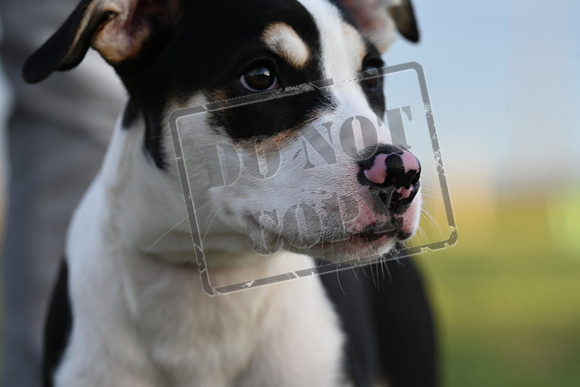 SLT_5032