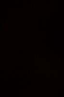 RO1_0008