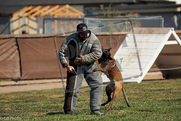PROTECTION #47