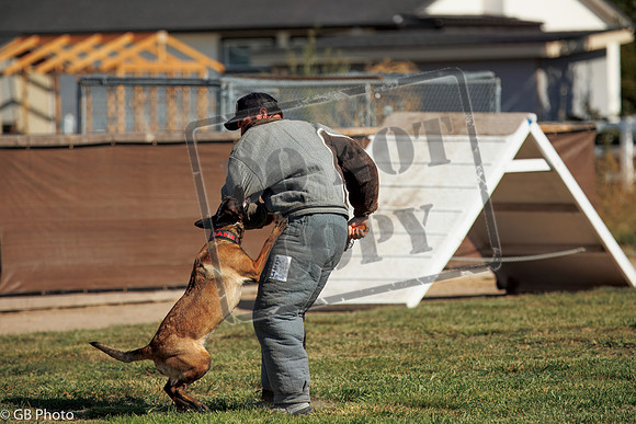 PROTECTION #42