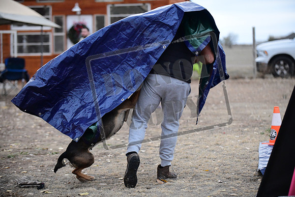 RO1_2162