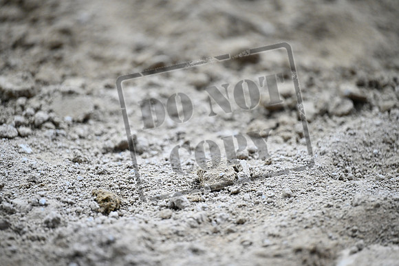 AB2_5590