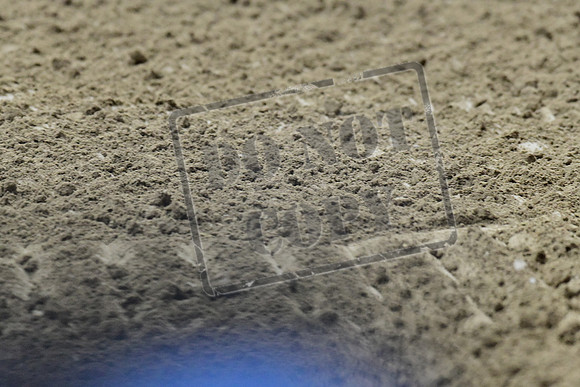 UCR_0167