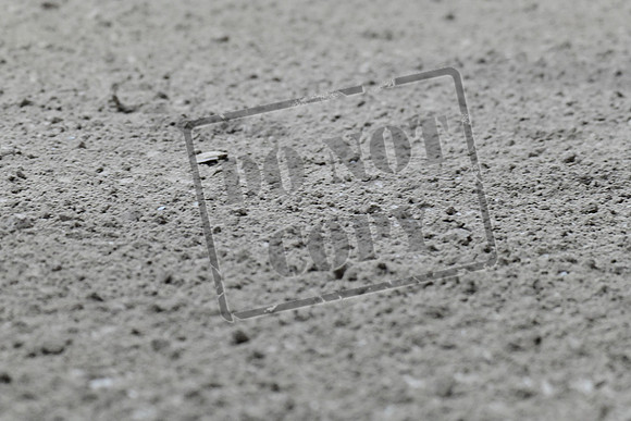 UCR_0194