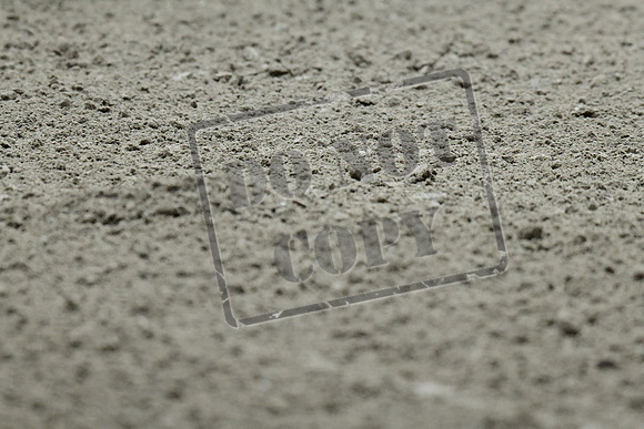 UCR_0991
