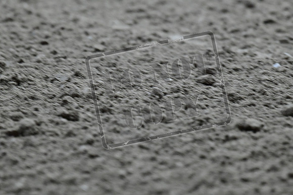 UCR_1067