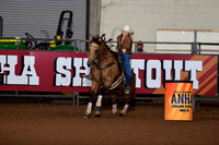 RO1_0378