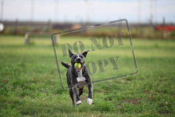 SLT_5058