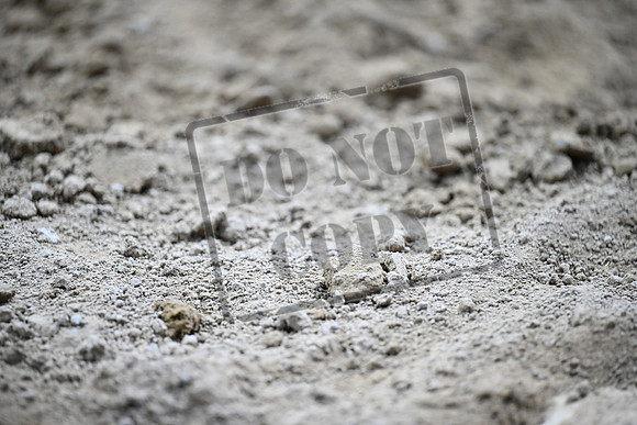 AB2_5591