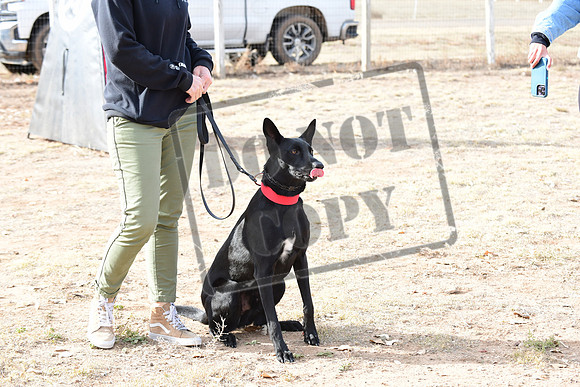 RO1_1233