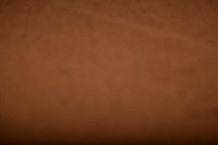 RO1_0085