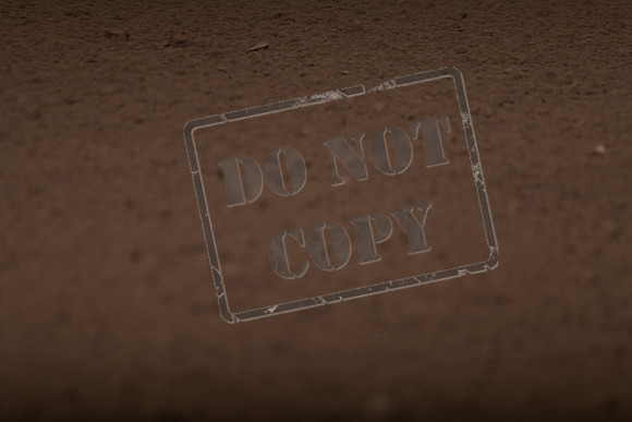 RO1_0263