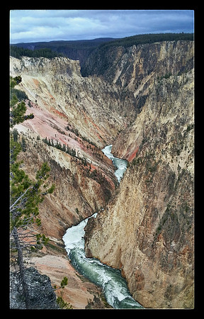 Grand Canyon of Yellowstone