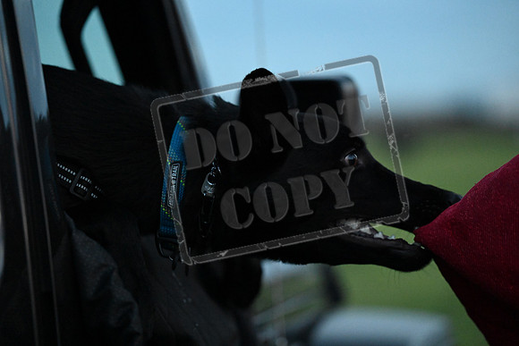 SLT_5231